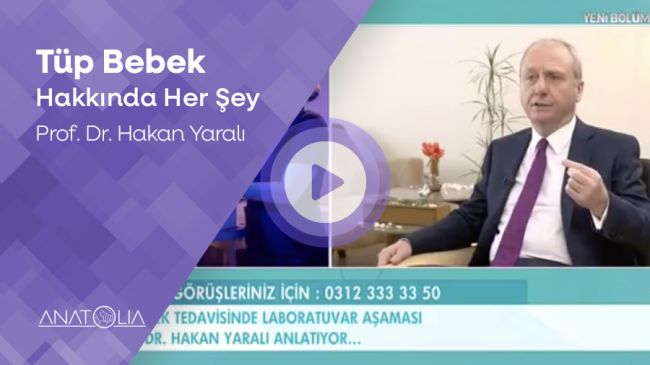 Tüp bebek hakkında her şey