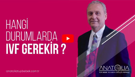 tüp bebek